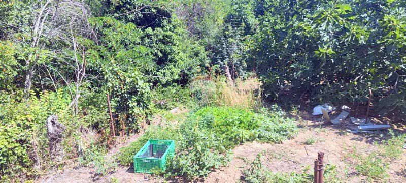 Парцел за продажба в м-ст Сълзица, гр. Варна, ТМ