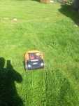 Vand robot de tuns gazonul