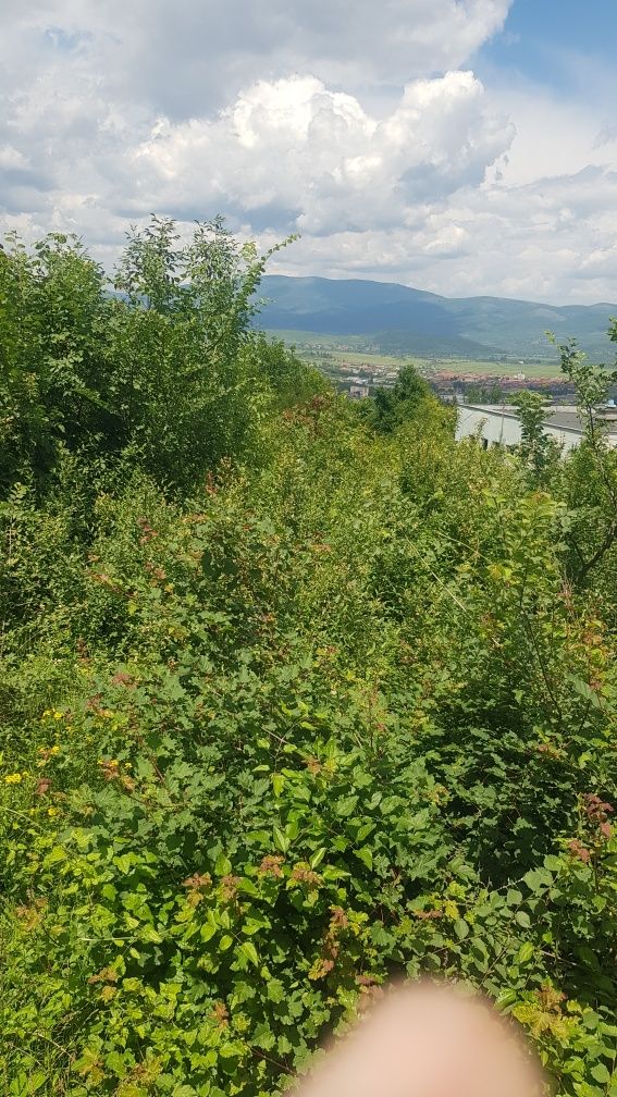 Продава парцел в гр.Кюстендил