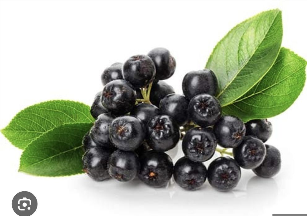 Продавам Арония реколта 2025г