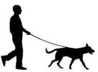 Plimb câini/dog walker