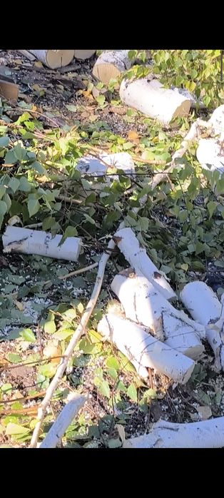 Спил деревьев кустов