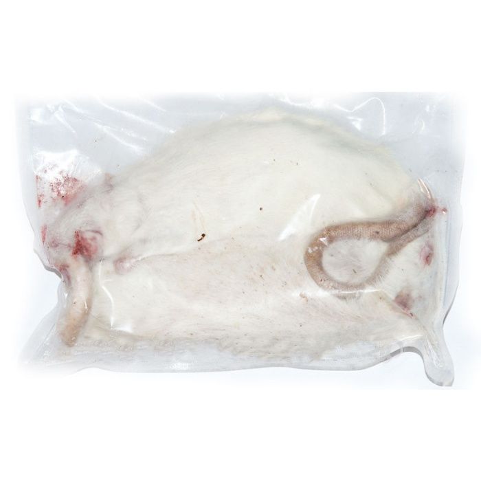 Мыши кормовые (замороженные) от 500 тг. в "Живом Мире" на Толе би