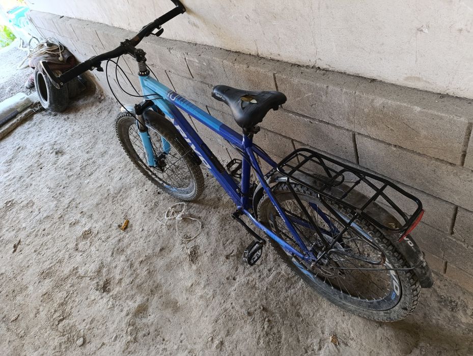 Velosiped yurib turgan