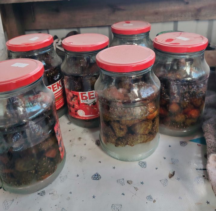 Продам не дорого