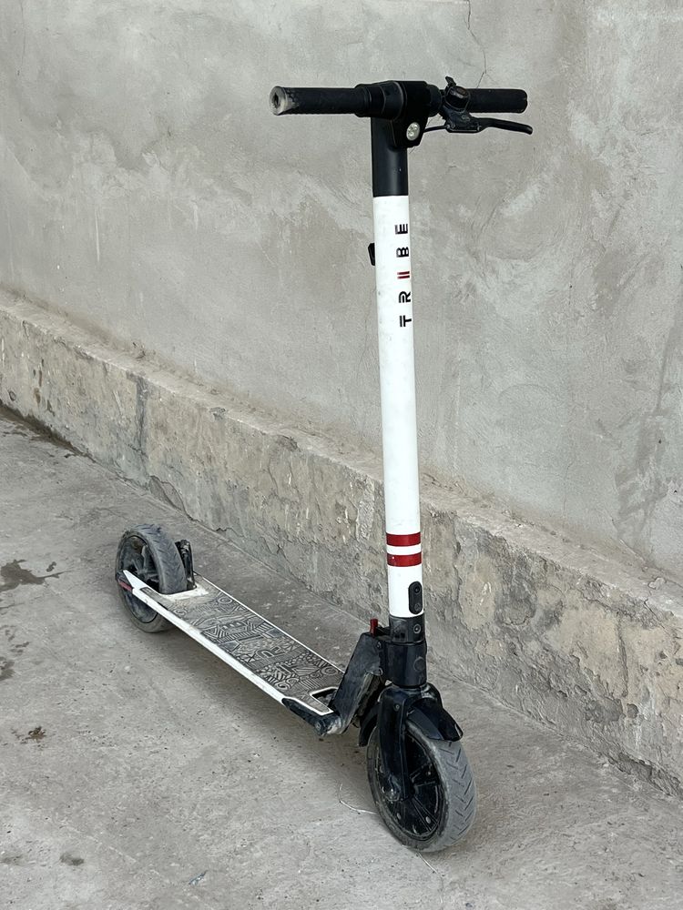 Elektroniy samakat