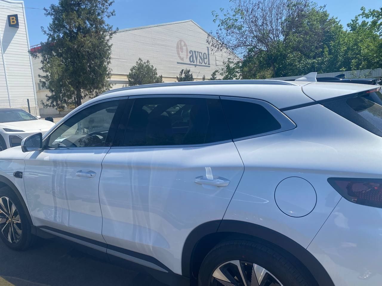 BYD chempion smart ev
