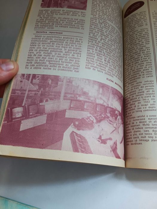 Almanah Cutezatorii 85, an 1985, perioada comunista RSR, Pionieri