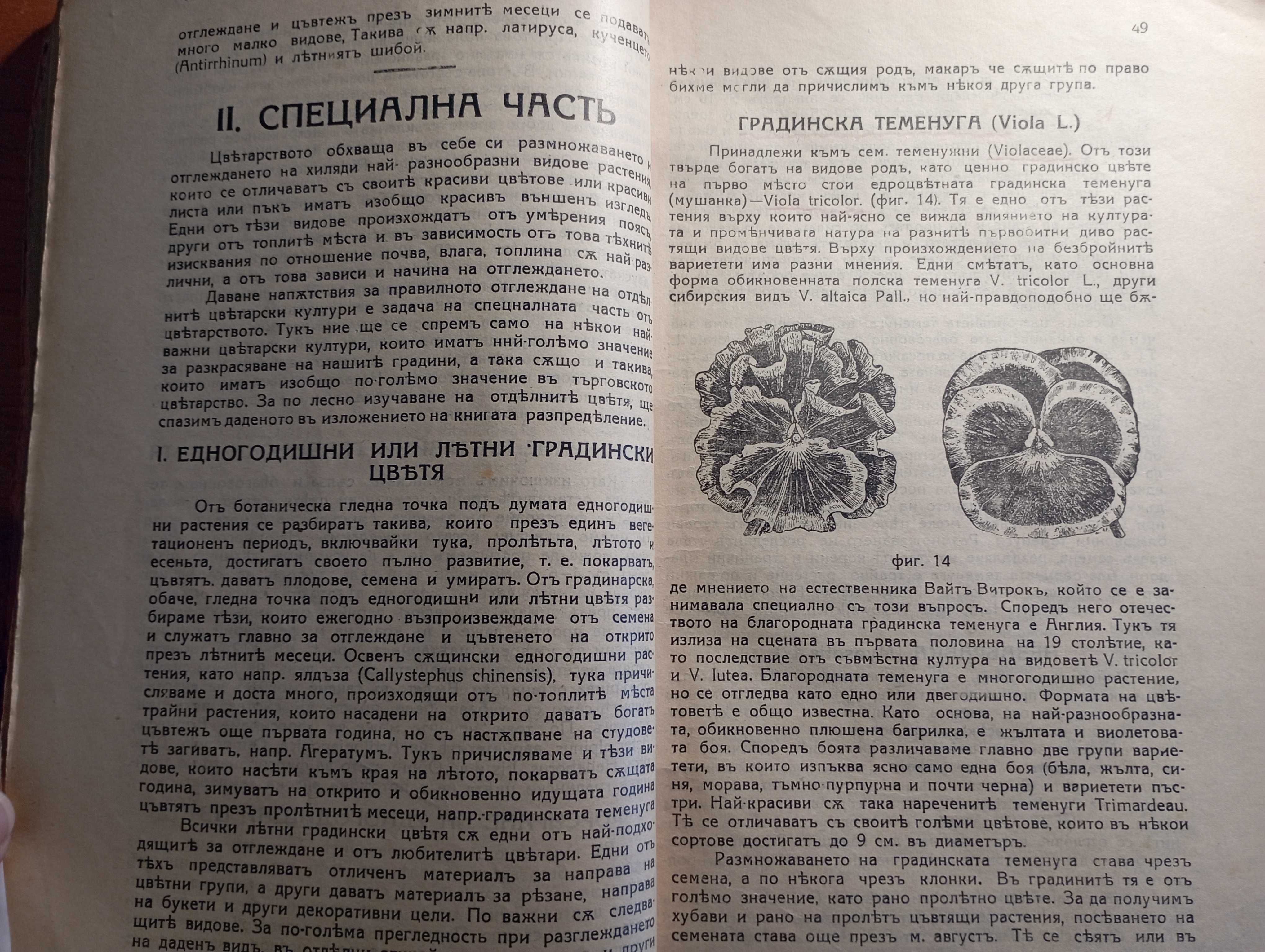 Ръководство по цветарство и уредбата на украсни градини - Стрибърни