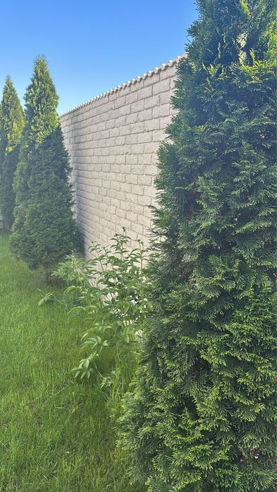 Coame gard capace stalpi palarii caramida decorativa boltari piatra