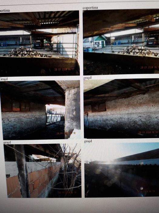 De vanzare Teren cu Casa si Grajd in Vinga.