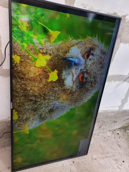 Monitor profesional 65 inch Philips Q-Line 65BDL3050Q