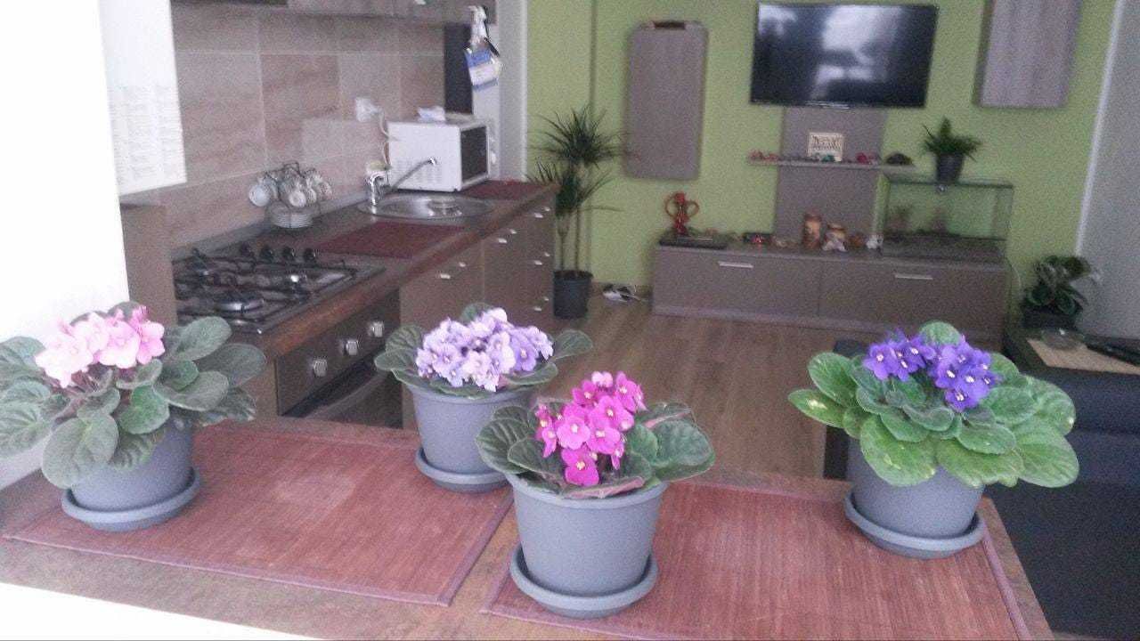 Inchiriez apartament 2 camere open space (Sector 4/Metalurgiei)