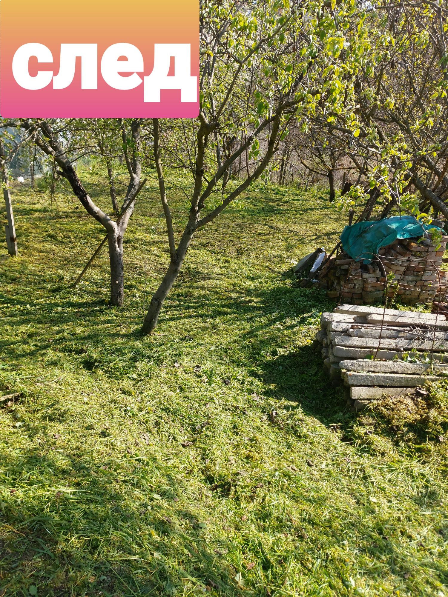 Косене на трева, поддръжка и почистване на тревни площи !