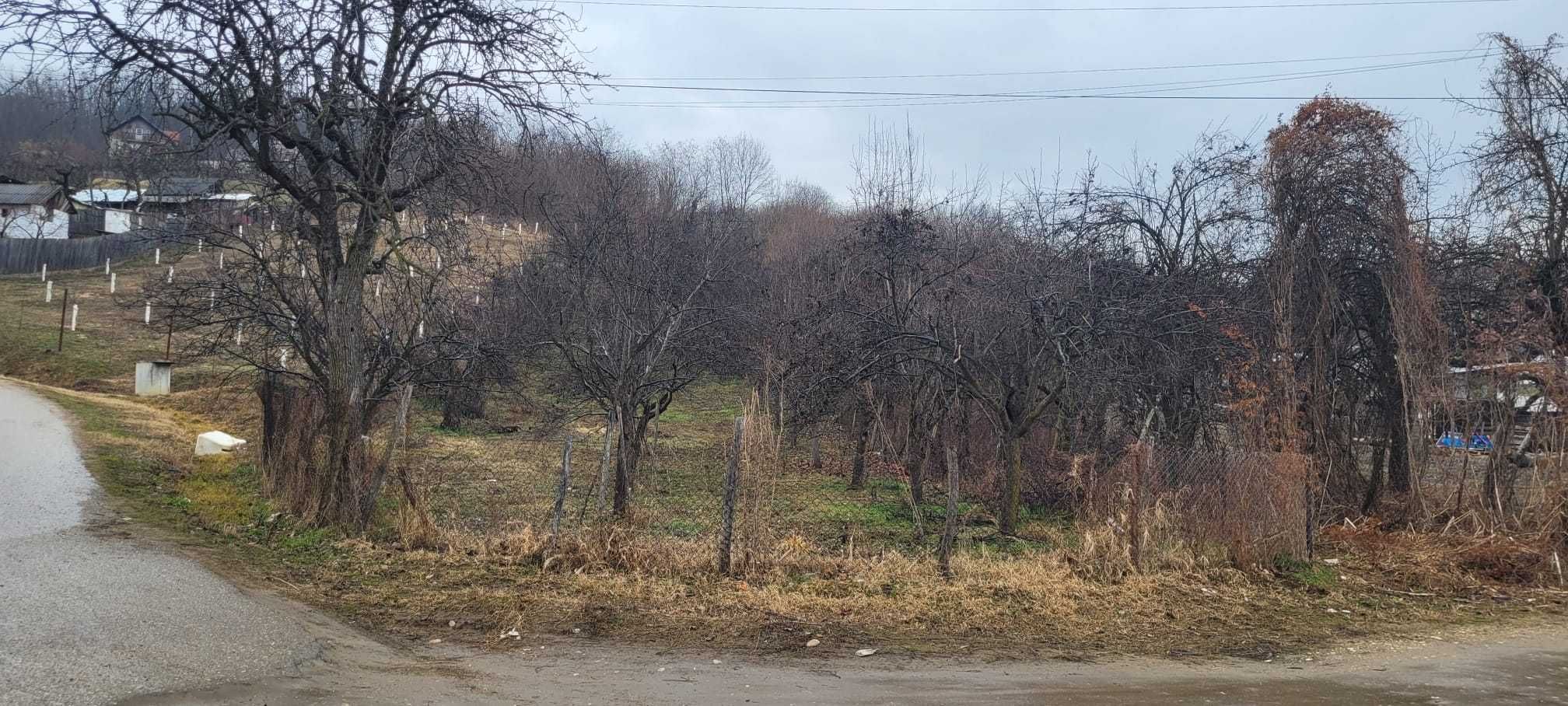 Teren intravilan in comuna Bogati, judetul Arges