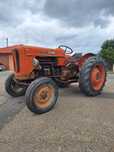 Fiat 411 special