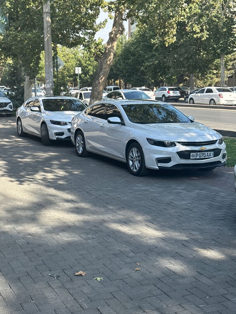 Malibu 2.4L kraskasi tozza ideal holatda