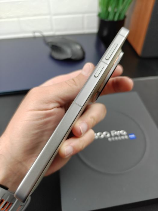 VIVO X300 Pro 12/256