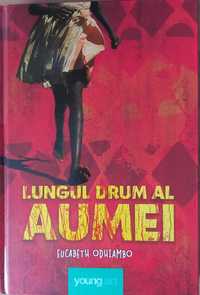 Carte: Eucabeth Odhiambo -Lungul drum al Aumei