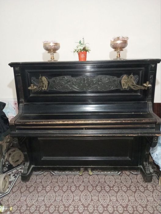 Pieanina qadimgii klaviwii fillii sueagidan qilingan 1898 eil Sank pet