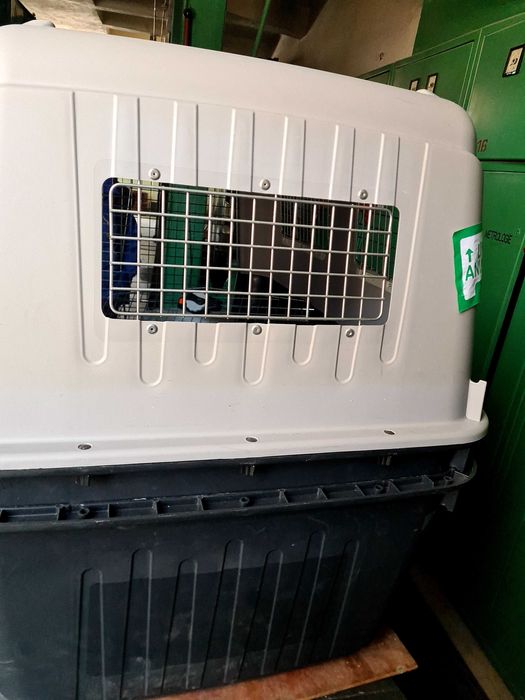 Cutie de transport pentru câini pentru călătorii cu mașina, avionul