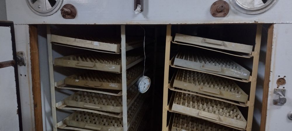 Vând incubator ouă