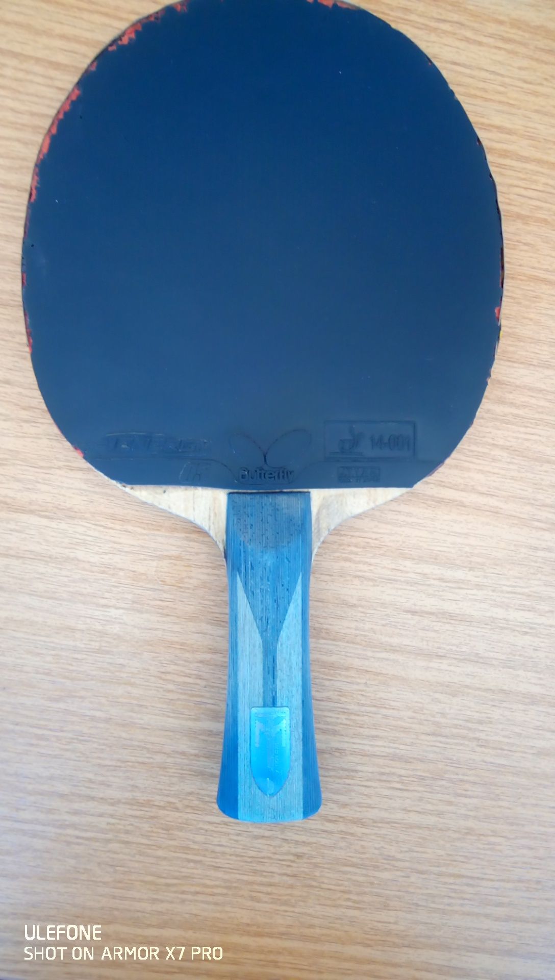 paleta timo boll butterfly