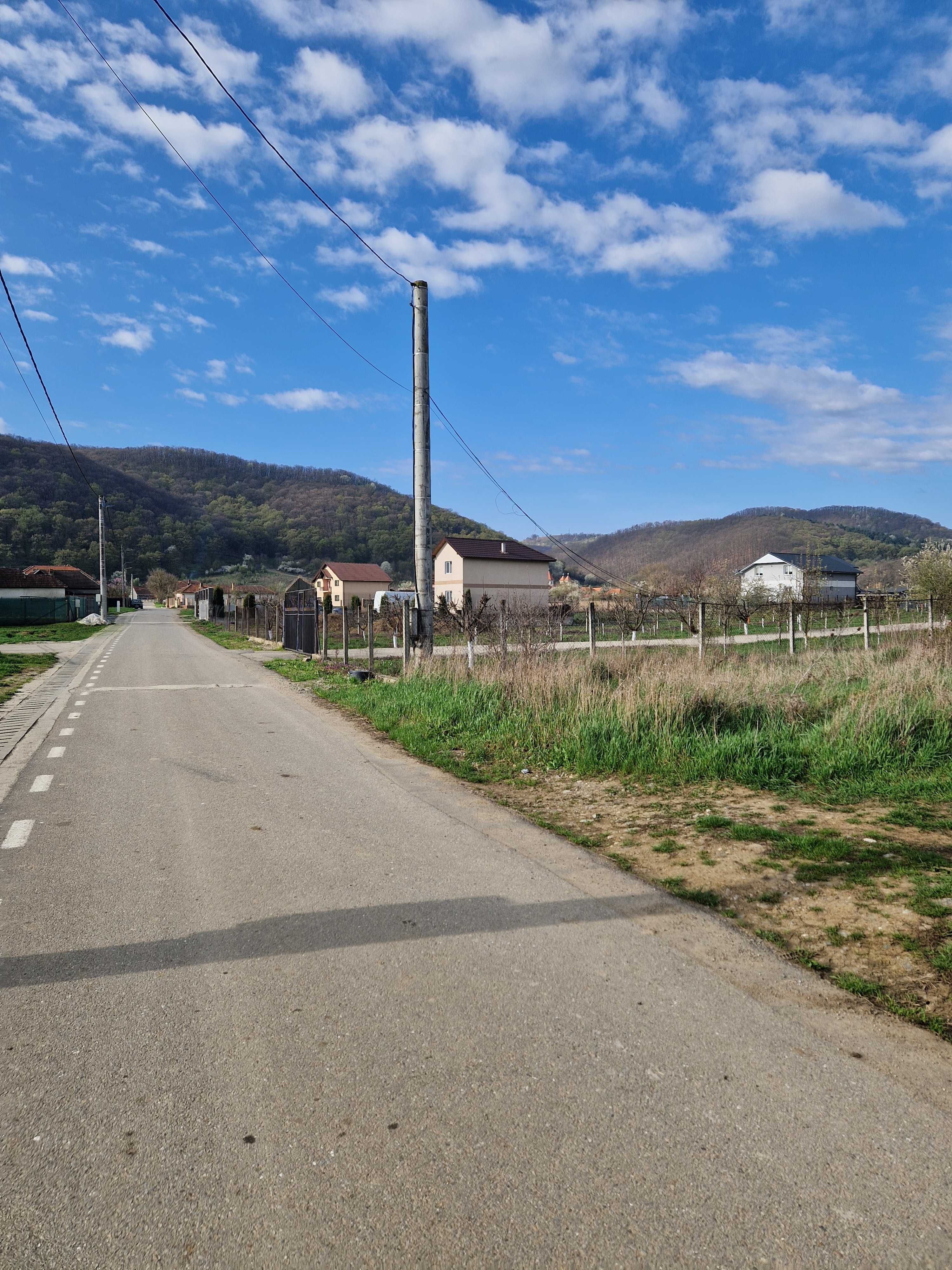 Teren de vanzare Lesnic Hunedoara