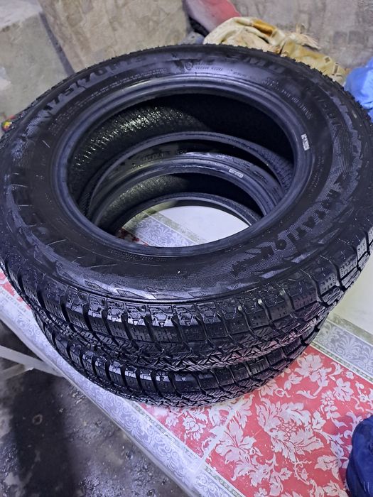 Зимние балоны капсен