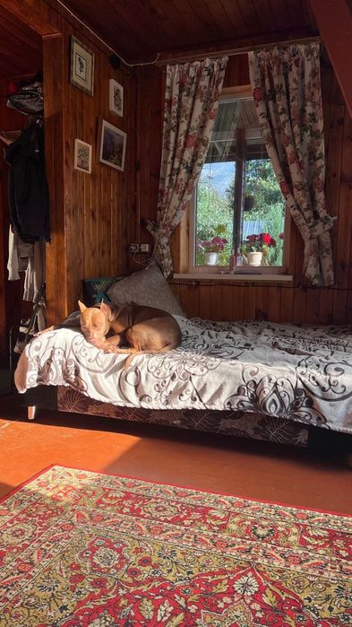 продажа дома в ауле