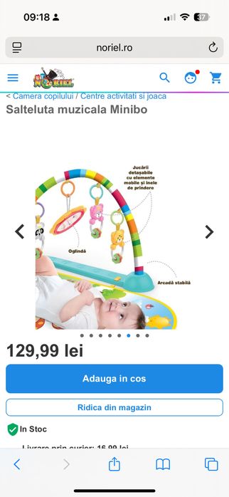 Salteluta muzicala Minobo