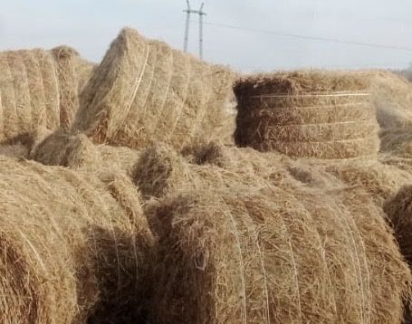 продам льненую солому