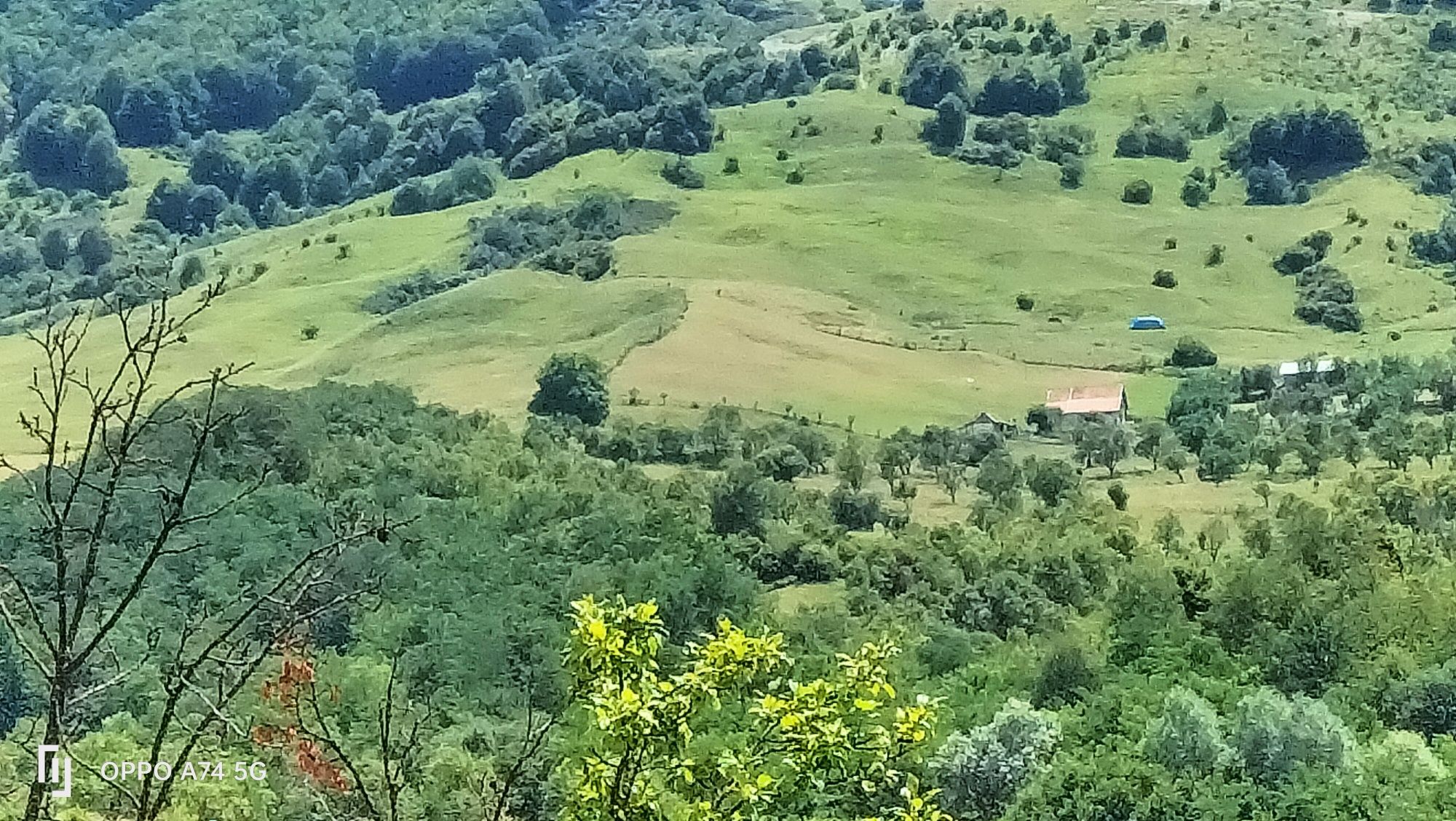 De vânzare fermă