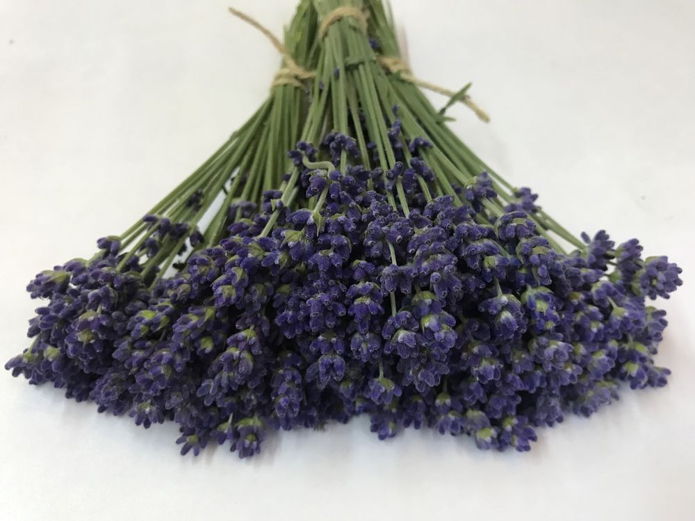 4 buchete de lavanda uscata