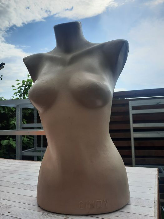 Bust manechin bust