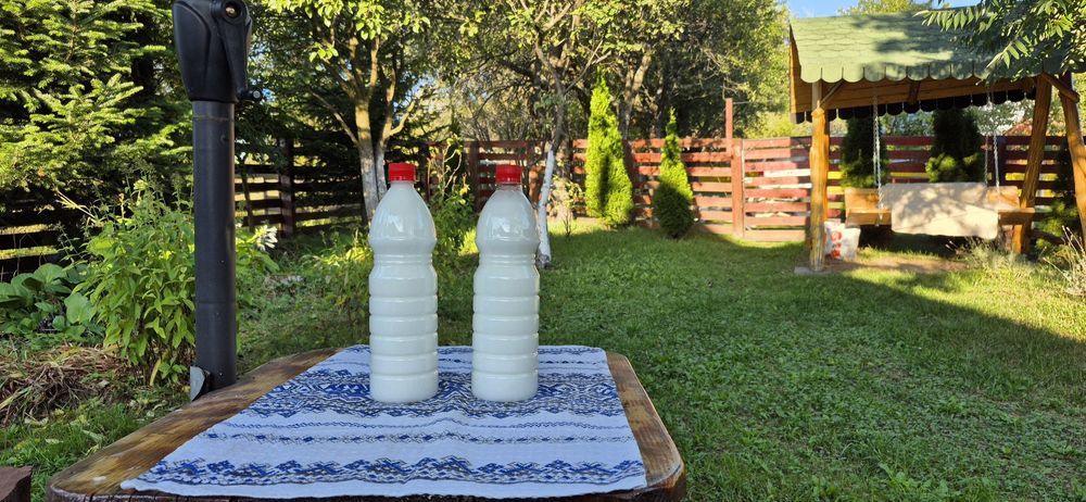 Vând lapte proaspăt de Magarita