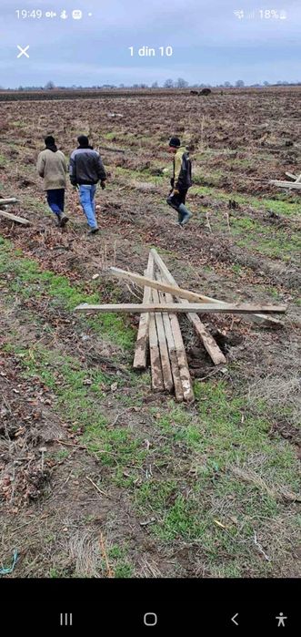 Vand spalieri de vie