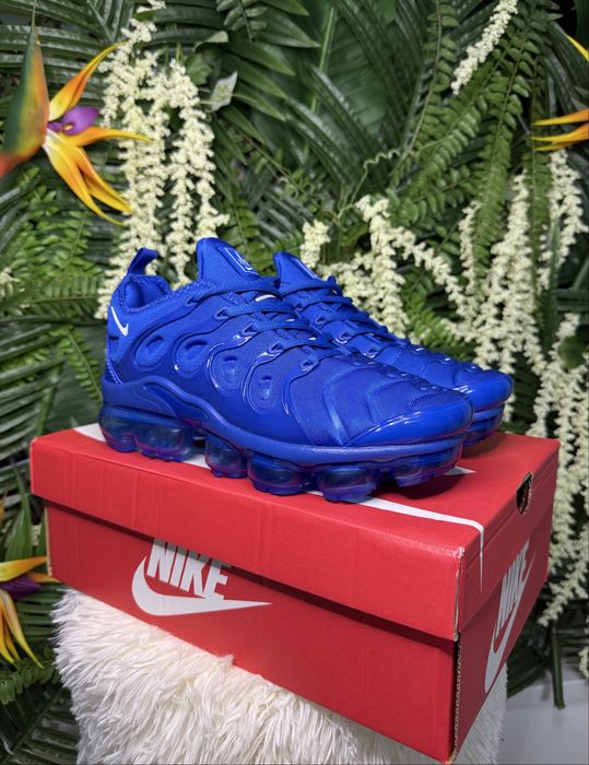 Nike Vapor Max Plus Blue