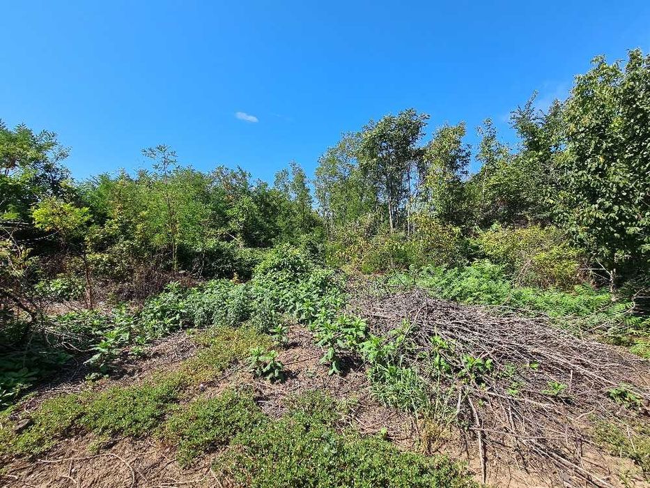 Продава се Къща в с. Червена, Област Велико Търново - 55 кв.м за 306 €/кв.м - Снимка #14