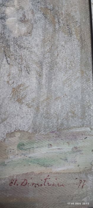 Elena Dimitriu pictura flori