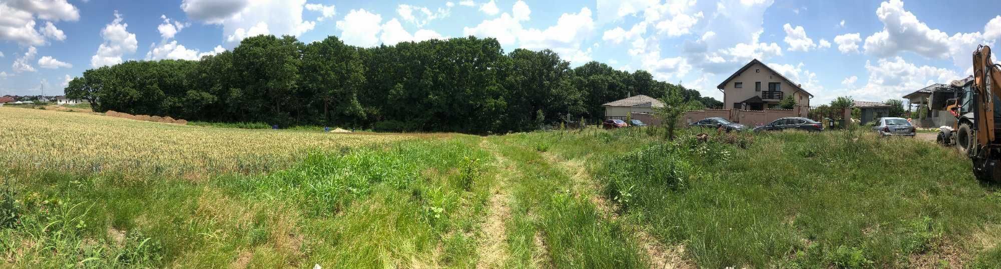 Vand/schimb teren in Branesti, langa padure