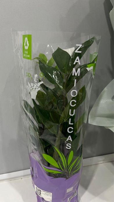 новый гул сатылады