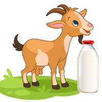 Lapte de capră la domiciliu