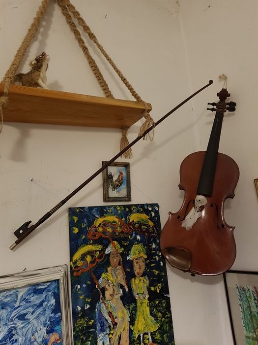 Цигулка цигулка цигулка