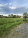 Teren intravilan in Chechis 35 ari la 2000€/ar