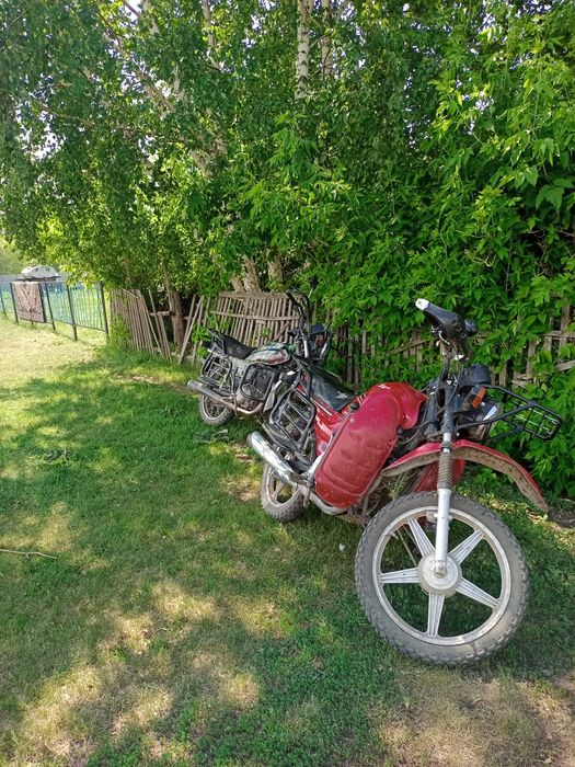 Супер Барс 200 куб