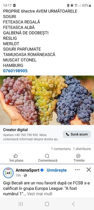 Vând struguri de vin