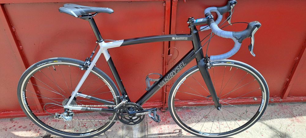Cursiera Van/Rysel alu/carbon L(56cm)