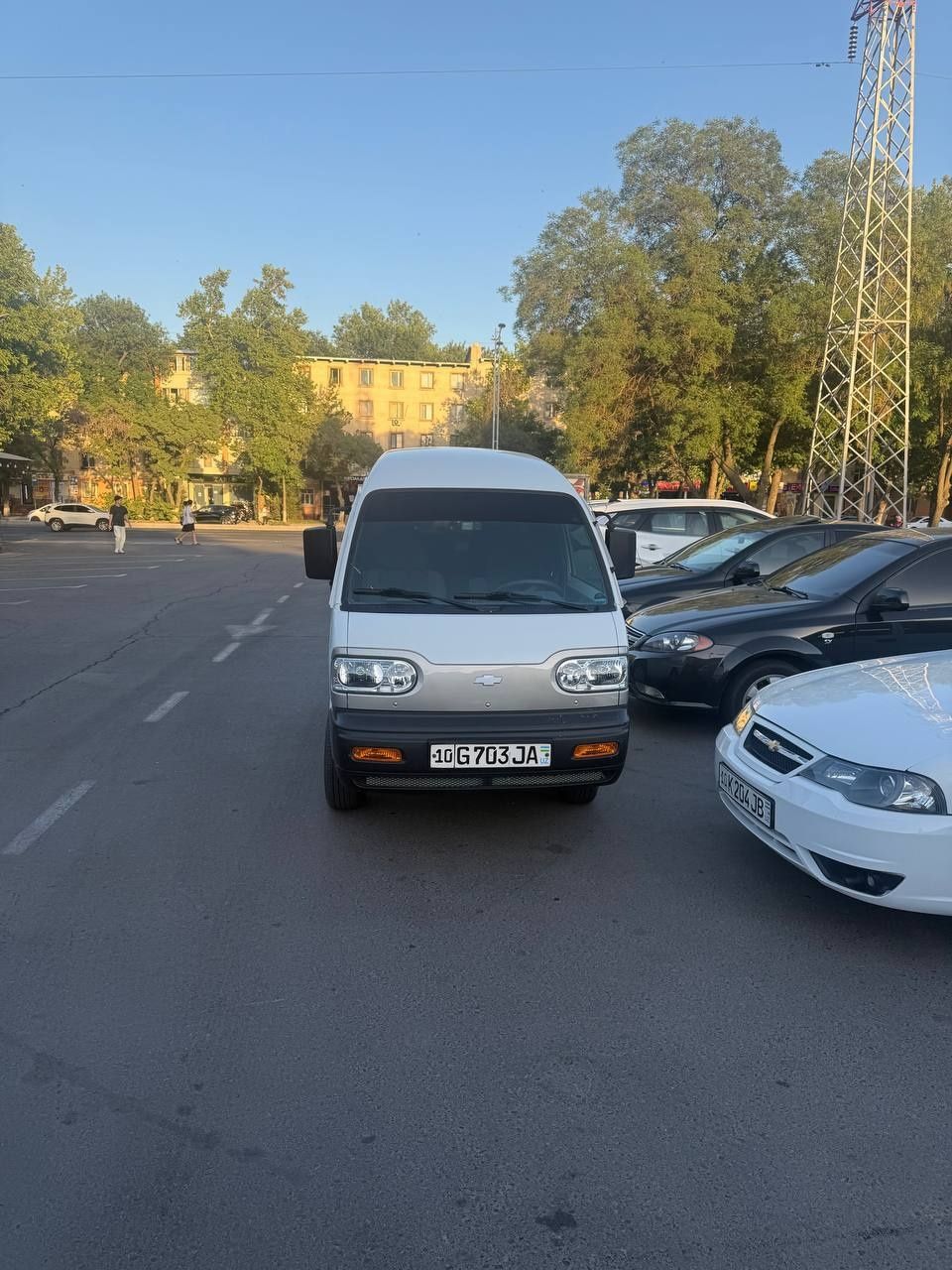 Damas дамас 2023