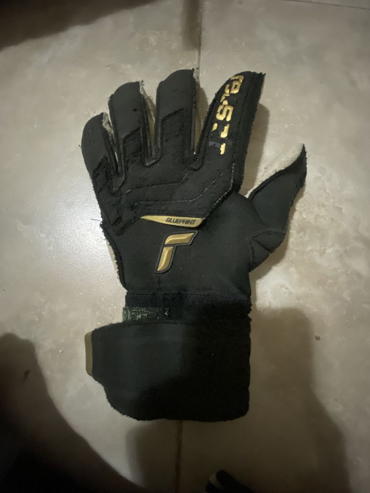 Reusch livakovic gloves